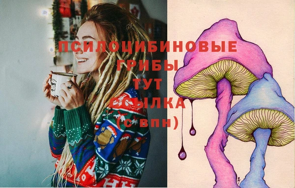 спайс Аркадак