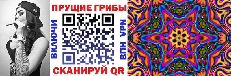 где продают   Балашиха  Галлюциногенные грибы MAGIC MUSHROOMS 